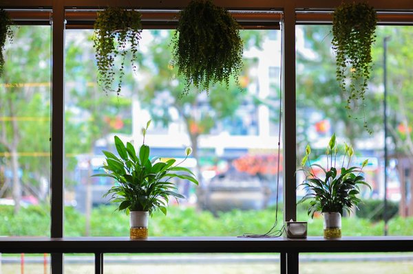 Découvrez wedoor : la clé de votre sécurité domestique innovante